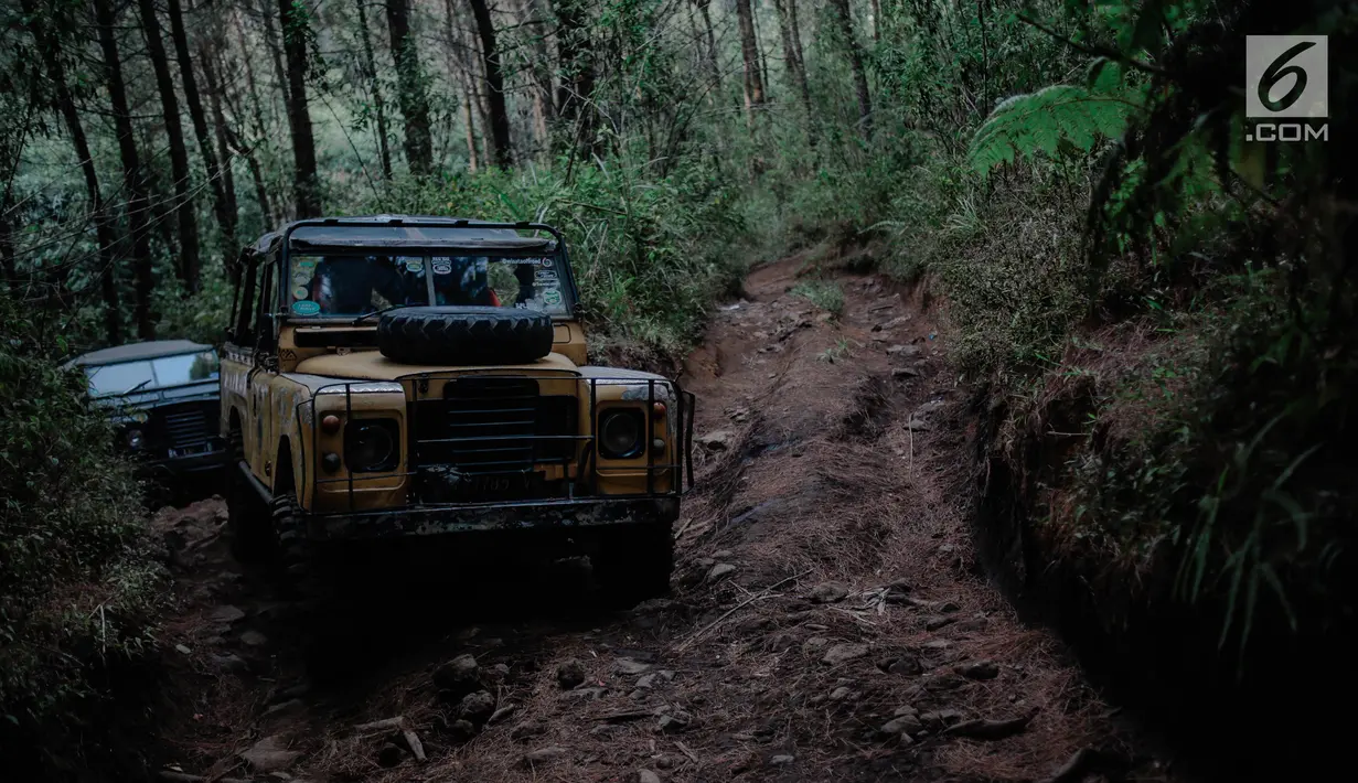Mobil offroad 4x4 klasik Land Rover melewati hutan pinus menuju trek Sukawana-Cikole di Kab Bandung Barat, Jawa Barat, Jumat (19/10). Wisata offroad ini menjadi salah satu destinasi wisata yang dapat memacu adrenalin. (Liputan6.com/Faizal Fanani)