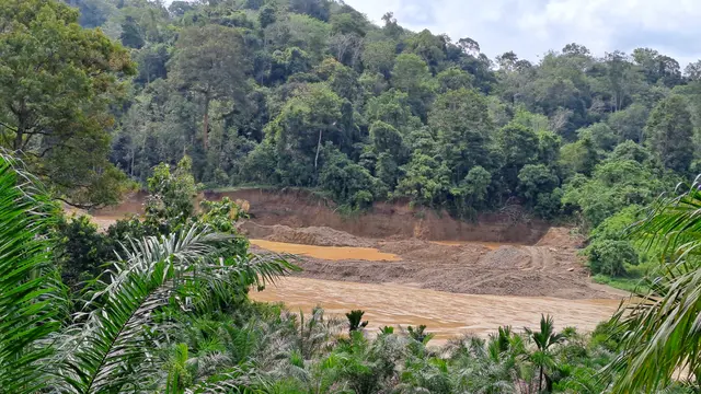 Bekas tambang emas ilegal di aliran Sungai Batang Hari Nagari Lubuk Ulang Aling, Kabupaten Solok Selatan, Sumatera Barat, Selasa (12/12/2023). (Liputan6.com/ Novia Harlina)