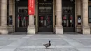 Seekor bebek berjalan di sebuah ruas jalan di Paris, Prancis (6/4/2020). Prancis memberlakukan lockdown nasional selama dua pekan mulai 17 Maret lalu, yang kemudian diperpanjang hingga 15 April. (Xinhua/Aurelien Morissard)