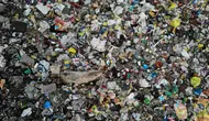 Pandangan udara menunjukkan seekor babi memakan sampah di saluran pembuangan air limbah yang dipenuhi sampah di lingkungan berpenghasilan rendah di New Delhi, India (4/10/2019). (AFP Photo/Noemi Cassanelli)