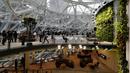 Ruang pertemuan dengan dinding yang dipenuhi tanaman sebelum pembukaan The Spheres, kantor baru Amazon yang bernuansa hutan hujan, di Seattle, Senin (29/1). Kantor tersebut lebih mirip rumah kaca dibandingkan kantor pada umumnya. (AP/Ted S. Warren)