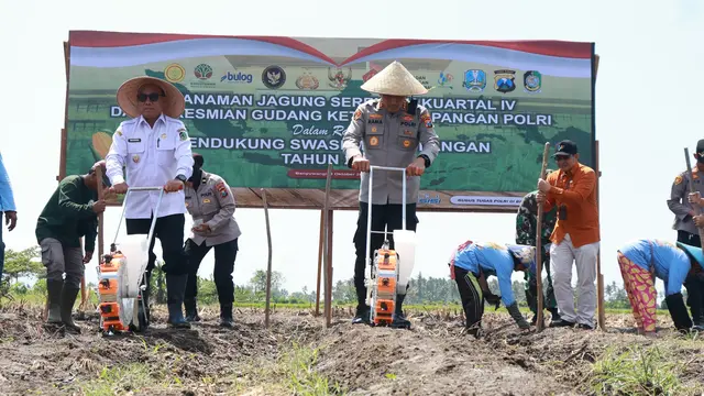 Produksi Capai 199 Ribu Ton, Tanam Jagung Serentak Kembali Digelar Pemkab Banyuwangi untuk Dukung Swasembada Pangan