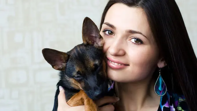 ilustrasi (c) shutterstock.com