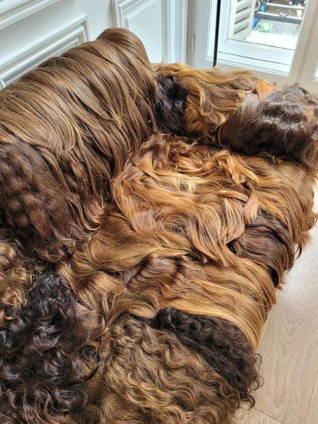 7 Desain Hiasan Rumah Ini Nyeleneh Banget, Bikin Susah Dibersihkan