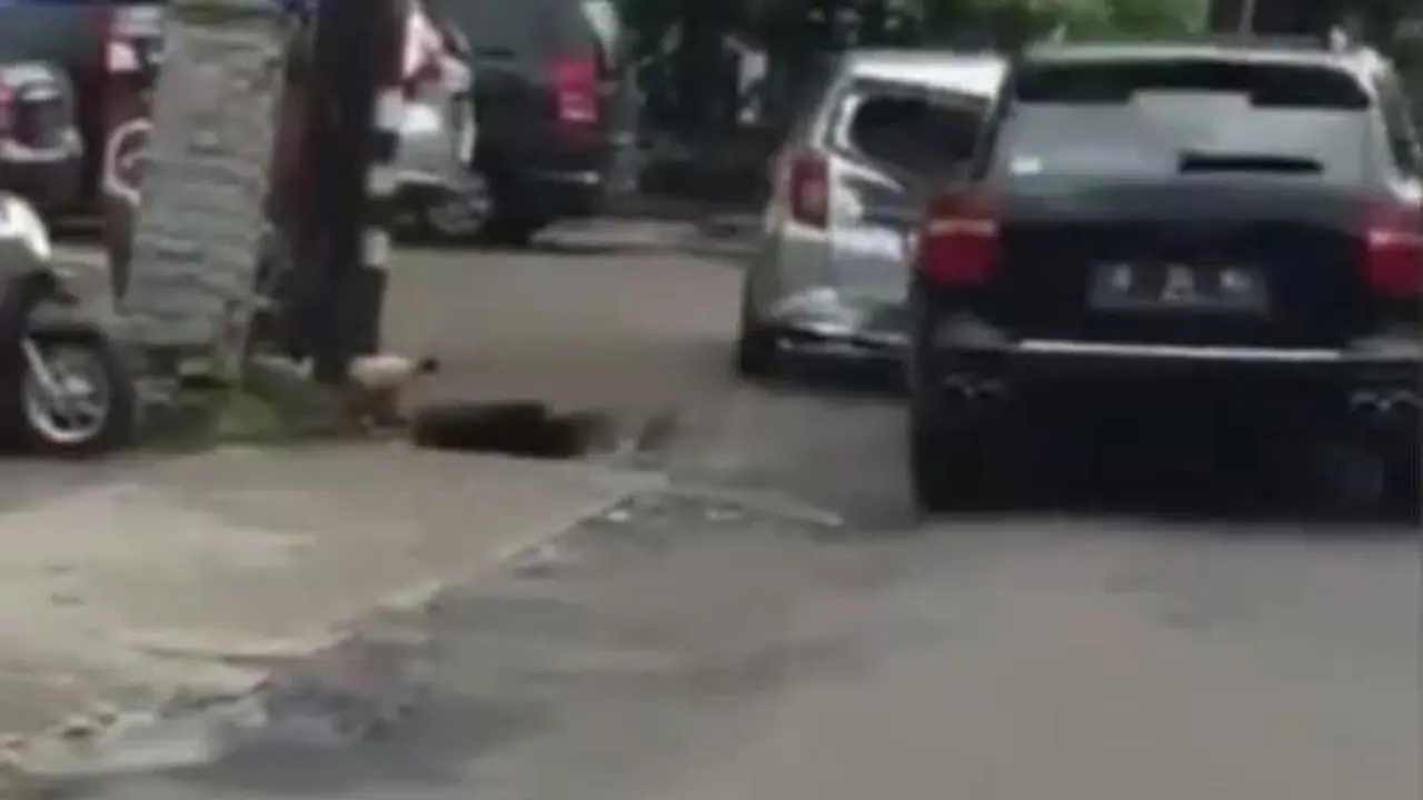Porsche Cayenne tabrak LCGC sampai ringsek (IG Agoez_Bandz04)