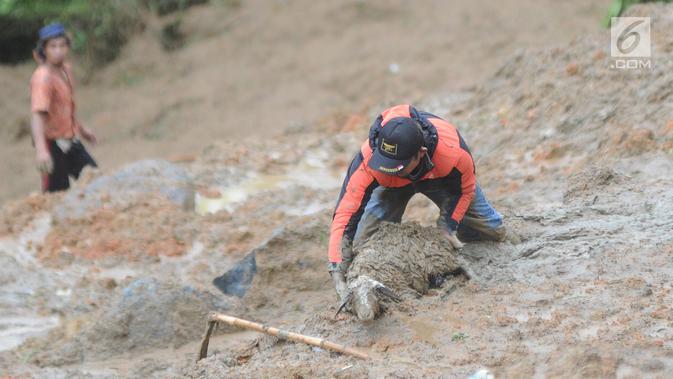 Warga menyelamatkan seekor kambing yang tertimbun longsor di Dusun Cimapag, Desa Sirnaresmi, Kecamatan Cisolok, Sukabumi, Selasa (1/1). Longsor mengakibatkan sekitar 30 rumah warga hilang tertimbun. (Merdeka.com/Arie Basuki)