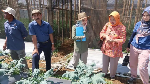 Cocok Jadi Duta Petani Milenial, Ini 6 Potret Melody Laksani Ikut Program Pertanian di 2019