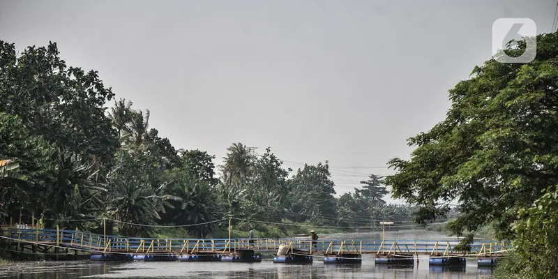 Minim Akses, Warga Bangun Jembatan Apung di Kali CBL