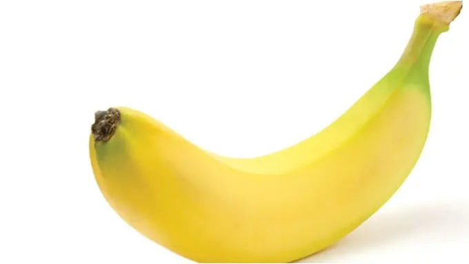 Foto: copyright shutterstock.com