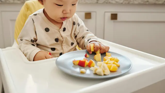 Panduan Awal Memulai Baby Led Weaning untuk Pemula