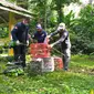 Saat dilepasliarkan di TWA Sibolangit, tidak semua burung pleci langsung beterbangan. Sebagian masih terlihat lemah dan jatuh di rerumputan