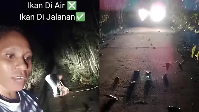 Ratusan Ikan Betik di Jalanan