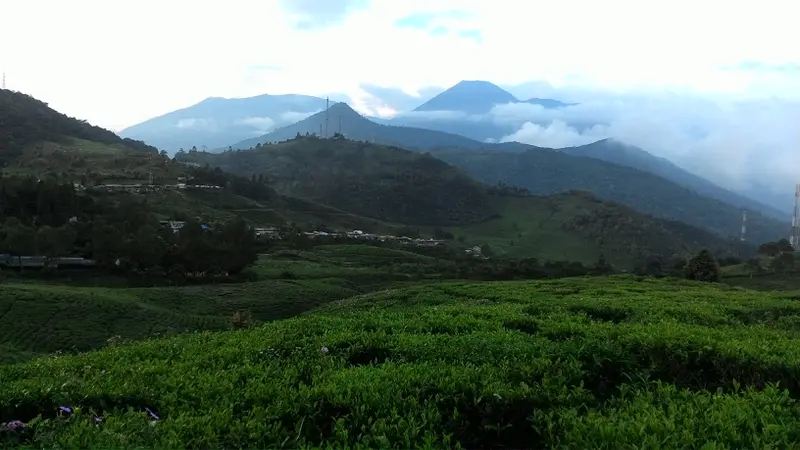 Situ Telaga Saat, Puncak, Bogor