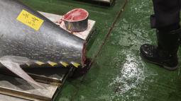 Seorang peserta berdiri di samping tuna yang dipajang saat penjual dan pembeli grosir menghadiri lelang tuna pertama Tahun Baru di pasar ikan Toyosu di Tokyo (5/1/2023). Sejak pagi ratusan peserta lelang juga turut memeriksa kualitas daging ikan tuna tersebut. (AFP/Richard A. Brooks)