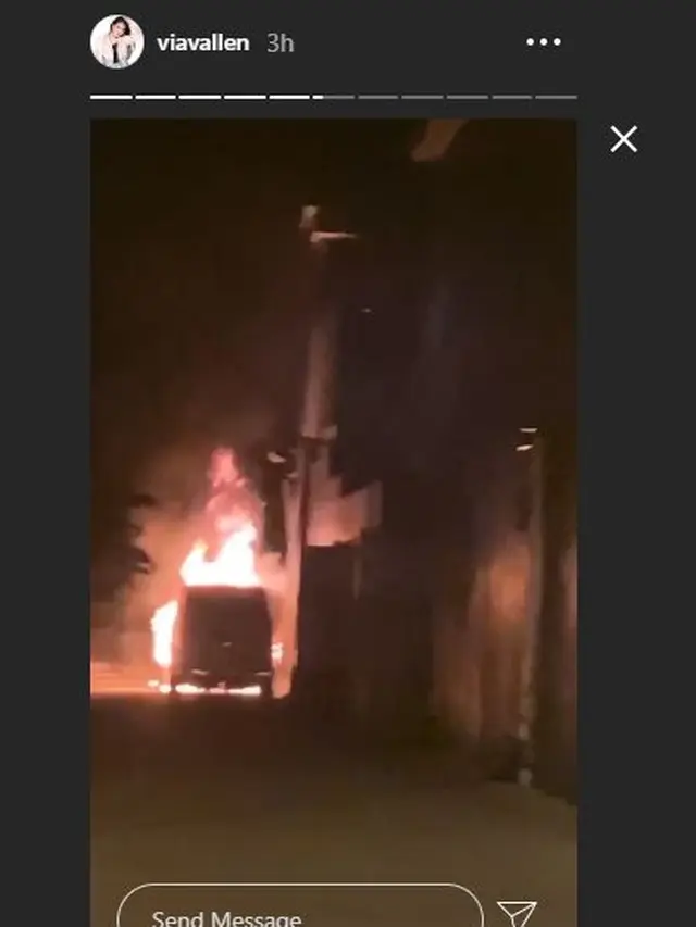 6 Momen Mobil Alphard Via Vallen Terbakar Disamping Rumah, Dibakar Orang Tak Dikenal