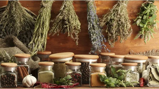 Foto : copyright shutterstock.com