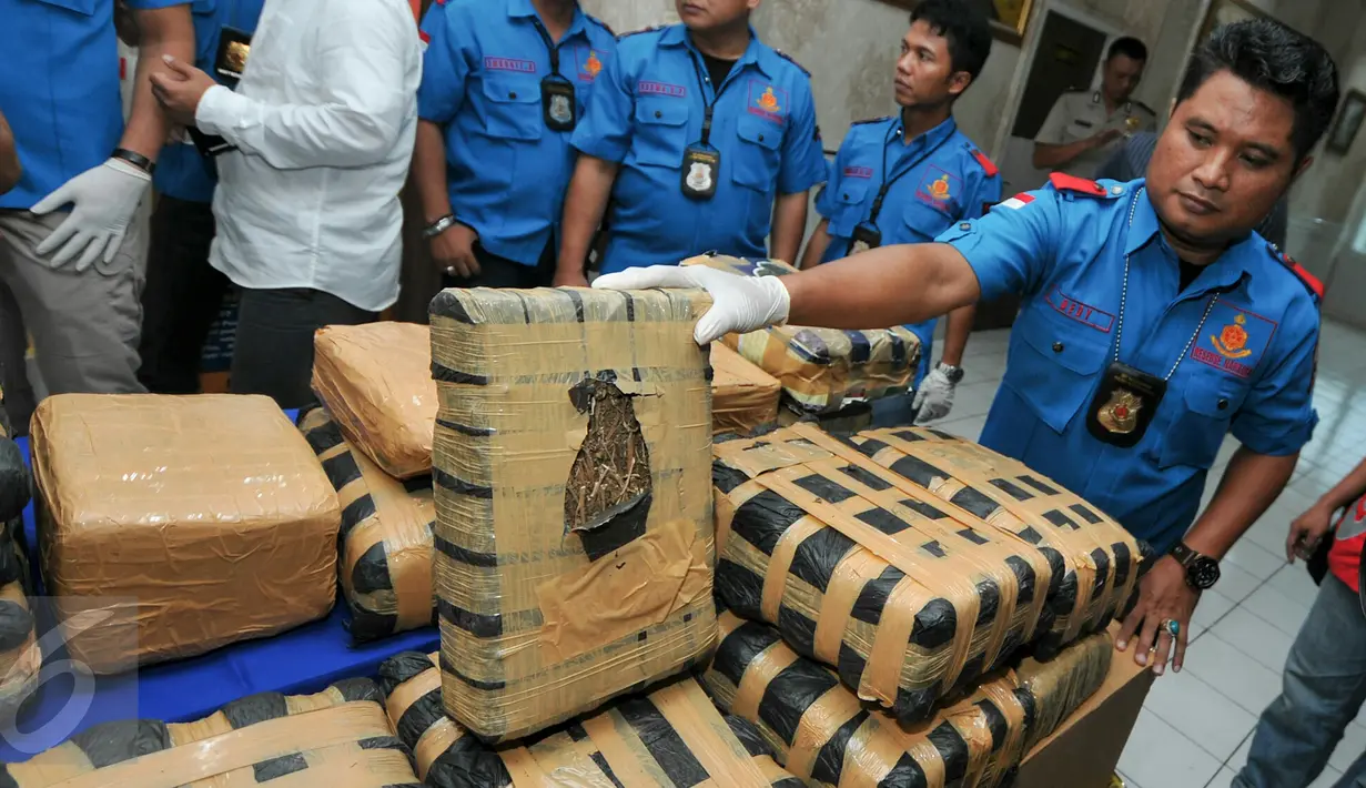 Satuan Narkoba Polres Jakarta Selatan menggagalkan peredaran ganja kering sebanyak 219 kg, Jakarta, Kamis (3/12/2015). 51 Paket ganja tersebut diamankan dari seseorang berinisial MS di rumah kontrakannya. (Liputan6.com/Yoppy Renato)