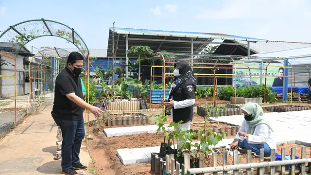 Menteri BUMN Erick Thohir mengajak warga memanfaatkan lahan perumahan menjadi lokasi pertanian. Erick pun menggagas Energi Tani atau ET.