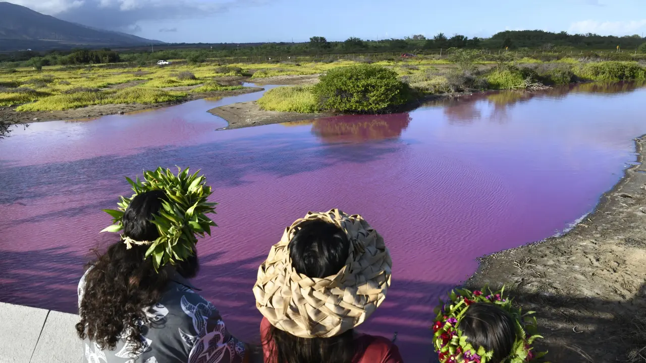 Kolam Merah Muda di Hawaii