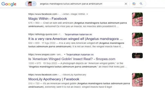 Gambar Tangkapan Layar Penelusuran Foto Menggunakan Google Images.