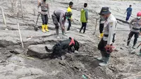 Anjing pelacak saat mencari korban Semeru. (Dian Kurniawan/Liputan6.com)