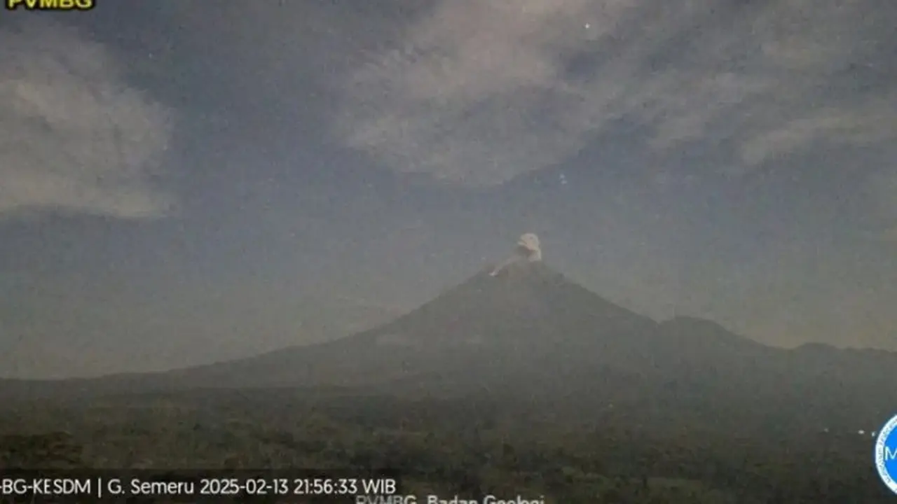 Gunung Semeru erupsi dengan tinggi letusan capai 500 meter (Istimewa)
