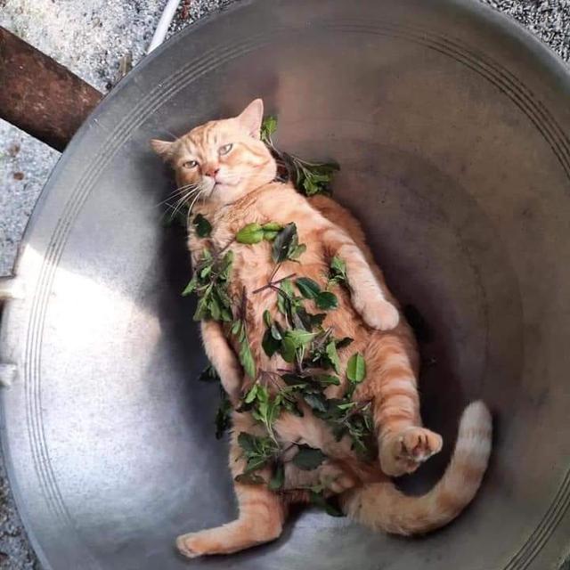 6 Menu Sahur ala Netizen Pakai Mainan Ini Nyeleneh Banget