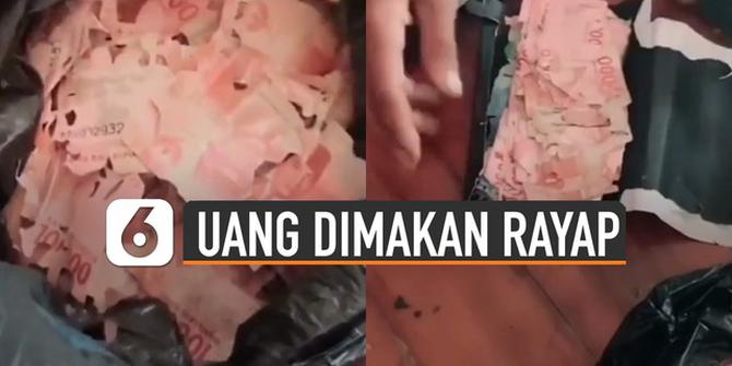 VIDEO: Viral Uang Jutaan Rupiah Dimakan Rayap