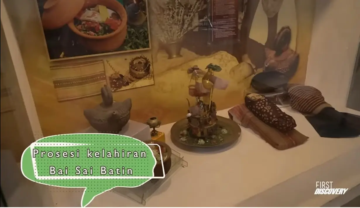 [Youtube/Nikita Willy Official]