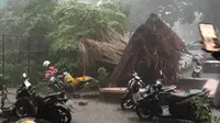 Hujan deras disertai angin kencang menyebabkan pohon tumbang di beberapa titik di Kota Bogor, Jawa Barat, Selasa sore (11/10/2022). (Dok. Liputan6.com/Achmad Sudarno)