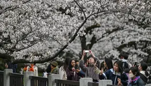 Jepang Naikkan Pajak Turis Asing hingga 3 Kali Lipat