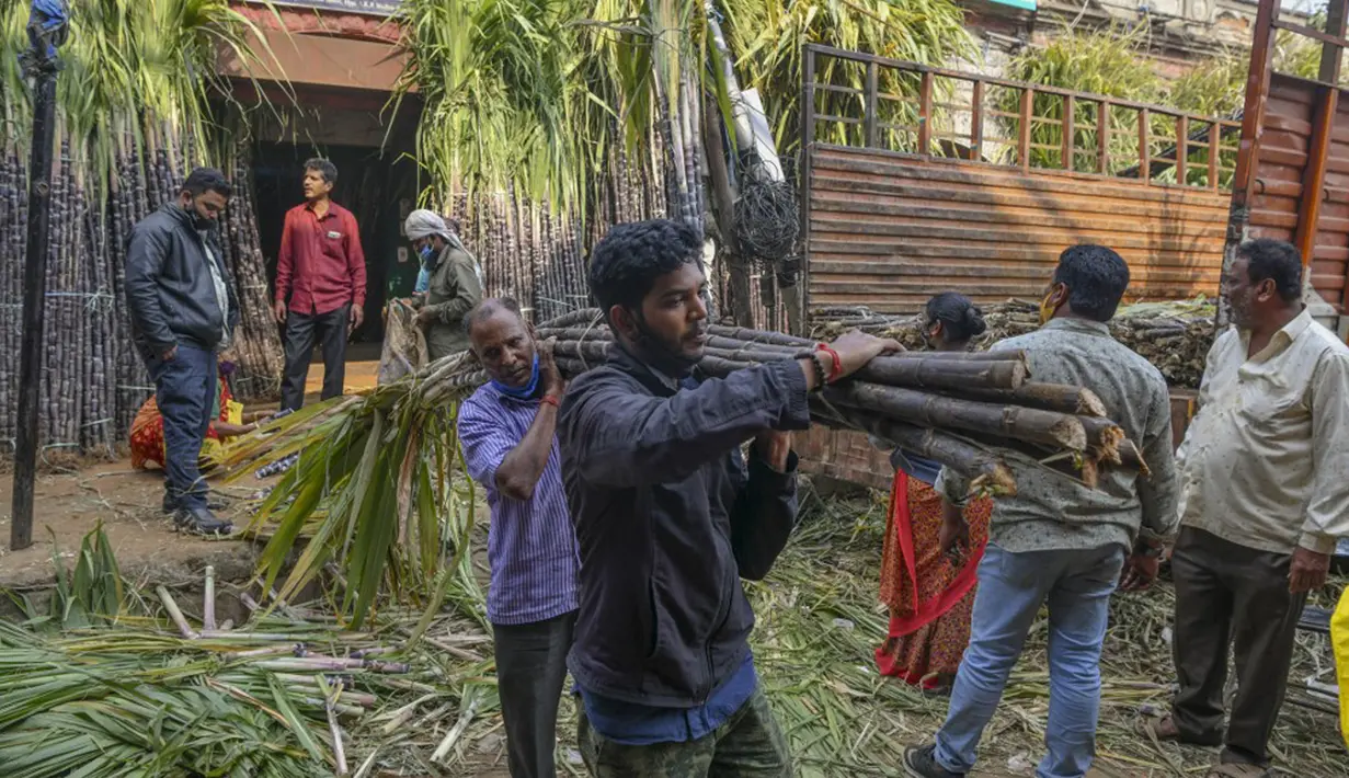 Orang-orang membeli tebu yang akan digunakan secara luas pada festival panen Makar Sankranti di pasar grosir di Bangalore, India, Rabu (12/1/2022). Makar Sankranti adalah sebuah perayaan Hindu yang dirayakan hampir seluruh bagian India dan Nepal dalam bentuk kebudayaan. (MANJUNATH KIRAN/AFP)