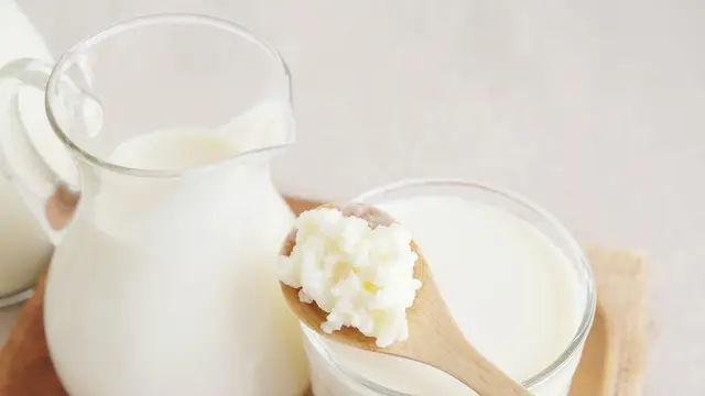 ilustrasi kefir/shutterstock