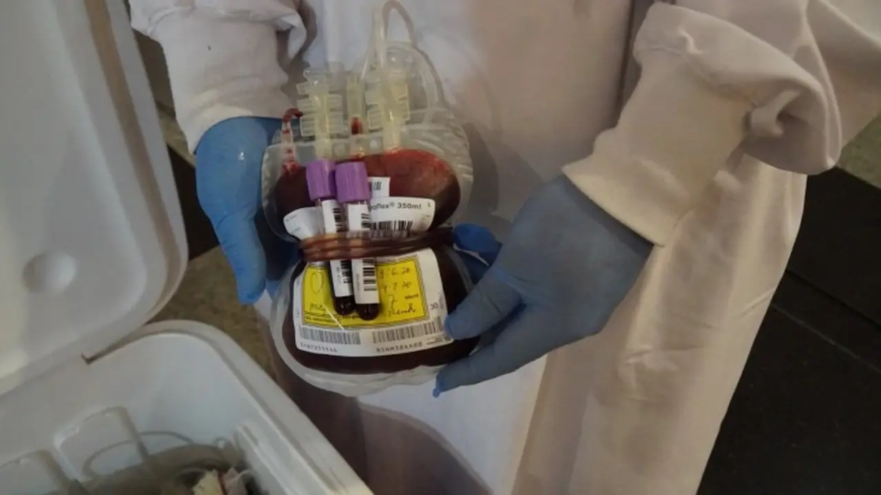 Donor Darah