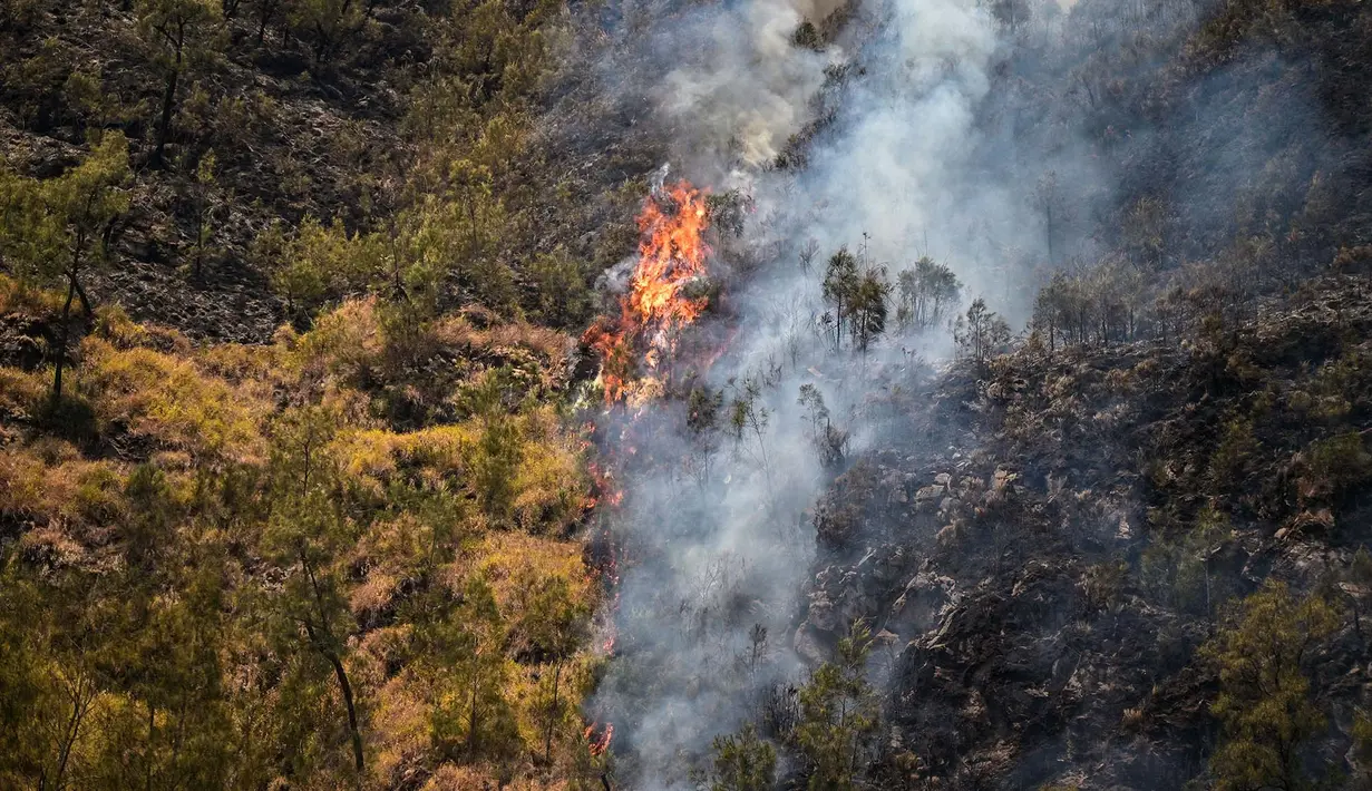 Kebakaran hutan di kawasan Taman Nasional Bromo Tengger Semeru (TNBTS), Kabupaten Probolinggo, Jawa Timur, Kamis (6/8/2026). (AFP/ Juni Kriswanto)