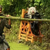 Festival Guizhou | foto : Shanghaiist.com