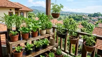 12 Tanaman Sayur yang Tidak Membutuhkan Banyak Ruang untuk Tumbuh, Bisa Ditanam di Pot