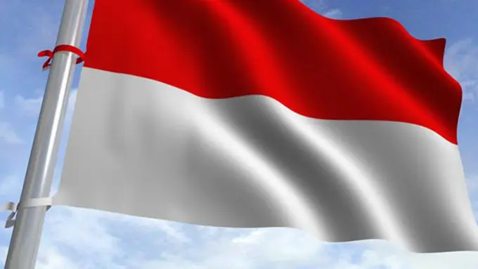 (C) variouscreen.com