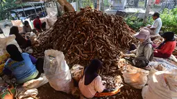 Pekerja mengolah singkong di sentra pengolahan bahan baku makanan ringan di Ciampea, Kabupaten Bogor, Jawa Barat, Minggu (26/7/2026). (KLY/ Arie Basuki)