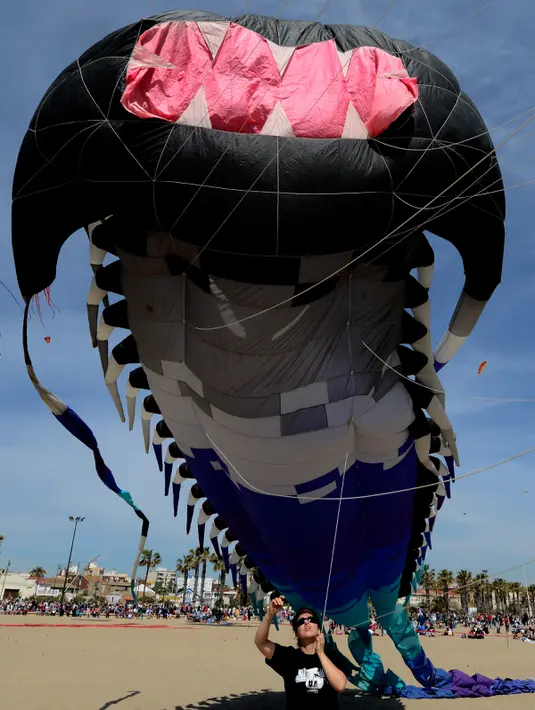Seorang peserta berusaha menerbangkan layang-layang saat mengikuti Festival Internacional del Viento (Festival Angin Internasional) di pantai Malvarrosa, di Valencia, Spanyol (23/4). (AFP/Jose Jordan)
