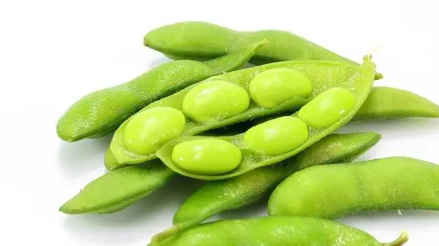 Sayuran dengan Kandungan Protein Tertinggi yang Bisa Ditanam Sendiri