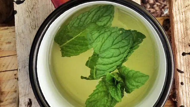 [Bintang] Selain Kopi, 4 Minuman Ini Juga Ampuh Hilangkan Kantuk