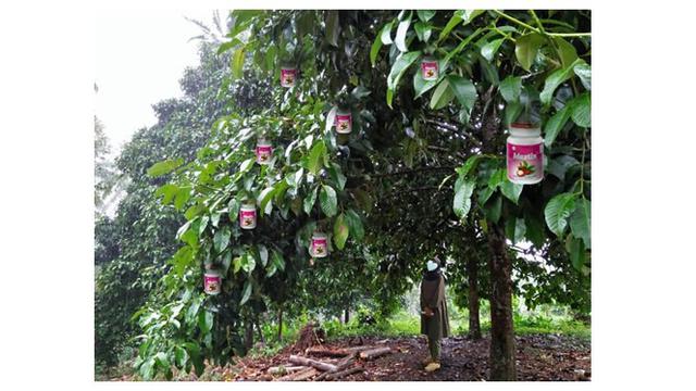Wanita Ini Minta Latar Fotonya Diedit dengan Pohon Manggis, 7 Hasilnya Bikin Geleng Kepala