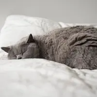 Cari tahu penyebab agar bisa menemukan solusinya!