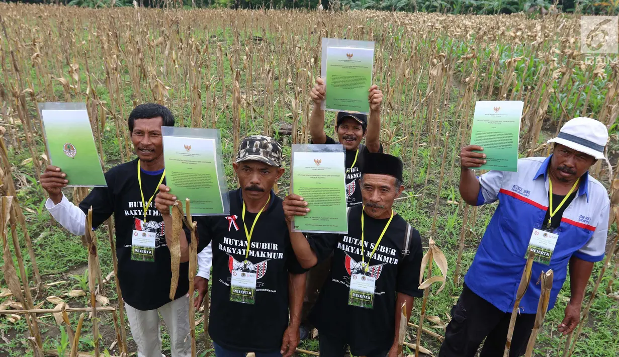 Para petani menunjukkan SK IPHPS yang diberikan Presiden Joko Widodo di Tuban, Jawa Timur, Jumat (9/3). Pada 2018 ini, Program Perhutanan Sosial akan diperluas ke 3 Kabupaten, yaitu Malang, Blitar, dan Bojonegoro. (Liputan6.com/Angga Yuniar)