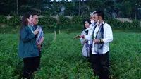 Mentan Minta Petani Milenial di Bandung Kembangkan Produksi Hingga Pascapanen