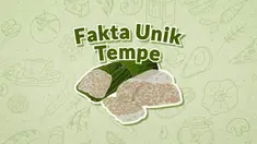 Tempe kini jadi barang yang cukup langkap di pasaran, dipicu mahalnya kacang kedelai sebagai bahan baku. Tak banyak yang tahu, makanan tempe ternyata memiliki sejumlah fakta unik. Simak nih videonya.