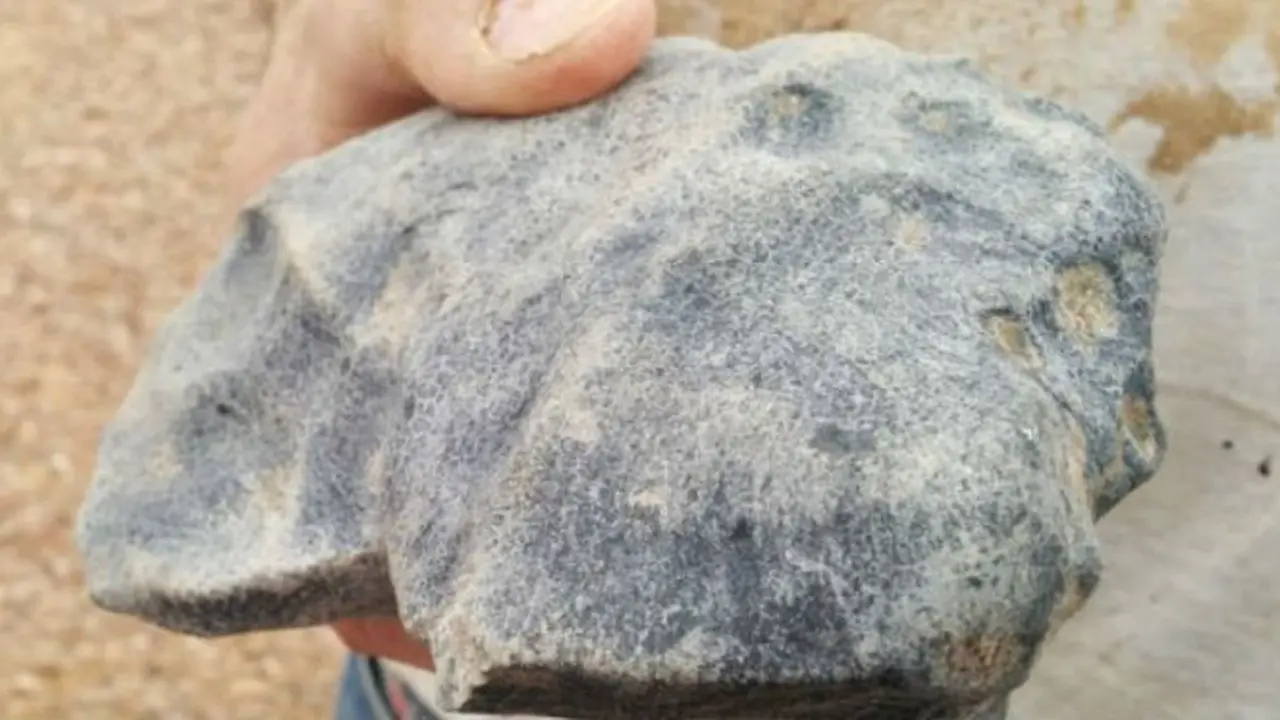 Fragmen meteorit yang Lebih Tua dari Planet Bumi