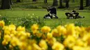 Dua orang pria berbaring di atas rumput sambil menikmati sinar matahari di sebuah taman di pusat kota London, Inggris, Rabu (4/5). Awal Mei, suhu udara hangat mulai menyelimuti kota London. (Niklas HALLE'N/AFP)