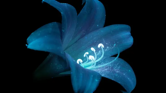 Fotografi bunga yang berpendar dalam gelap.